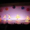 dsc01550