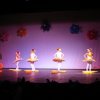 dsc01551