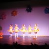 dsc01553