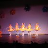 dsc01554