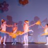 dsc01558