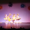 dsc01559