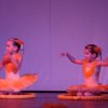 dsc01561