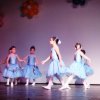 dsc01577