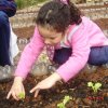 Educação Infantil » Projetos » Projeto Éden Day