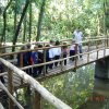 baixar_084