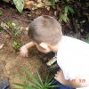 baixar_134
