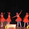 dsc00499
