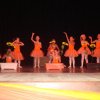 dsc00514