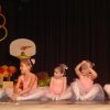 dsc00533