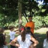 imagem-012