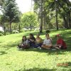 figuras_016