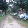 figuras_056