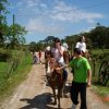 imagem_089
