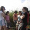 dsc09367