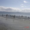dsc09391