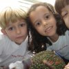 Ensino Fundamental